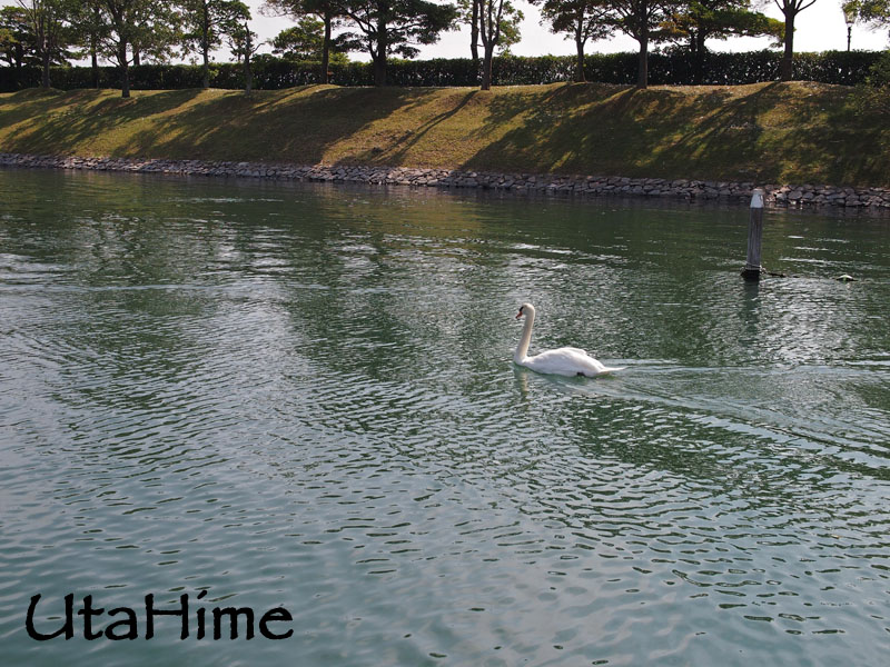 1013-115.jpg 1013-115.jpg