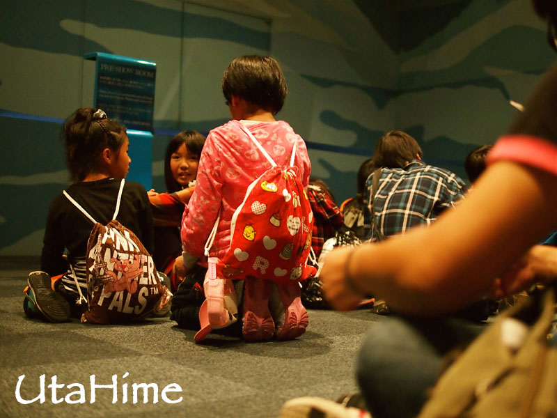 1013-309.jpg 1013-309.jpg