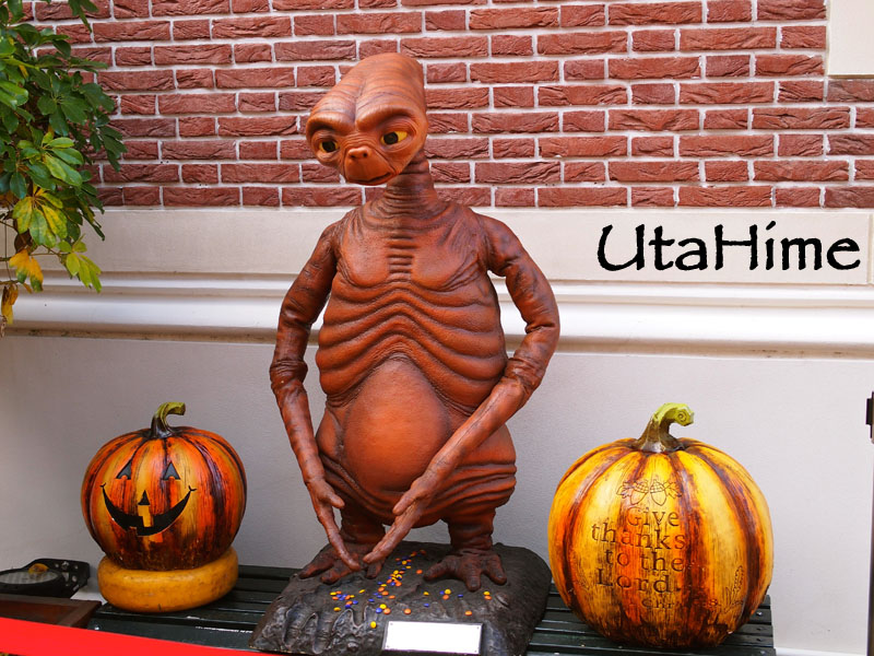 1013-327.jpg 1013-327.jpg