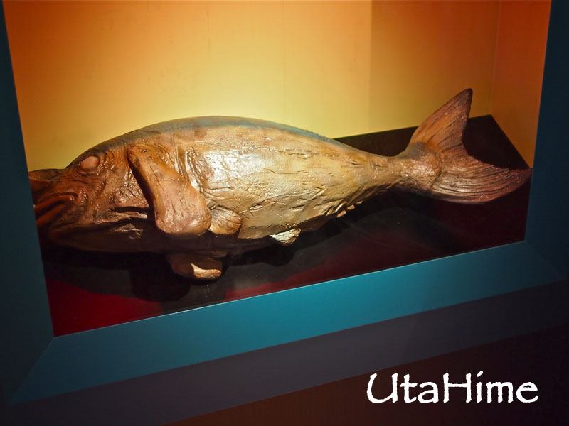 1013-226.jpg 1013-226.jpg