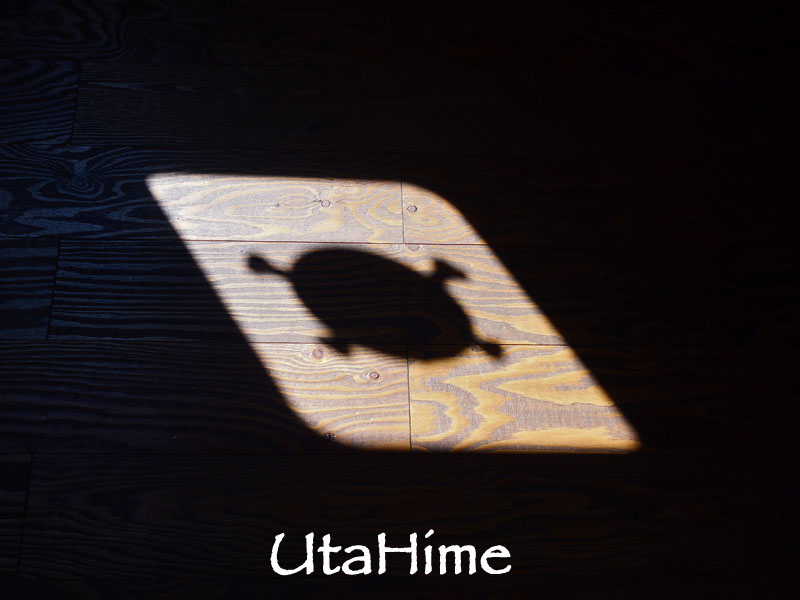 1013-236.jpg 1013-236.jpg