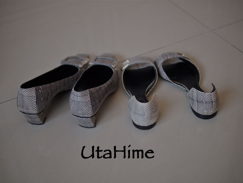 RVpython07.jpg RVpython07.jpg