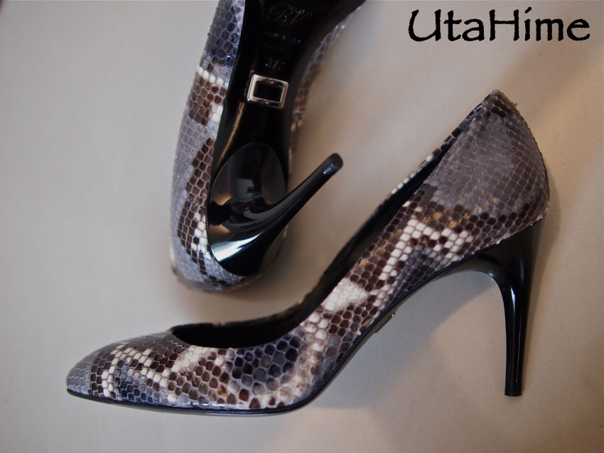 RVpython10.jpg RVpython10.jpg