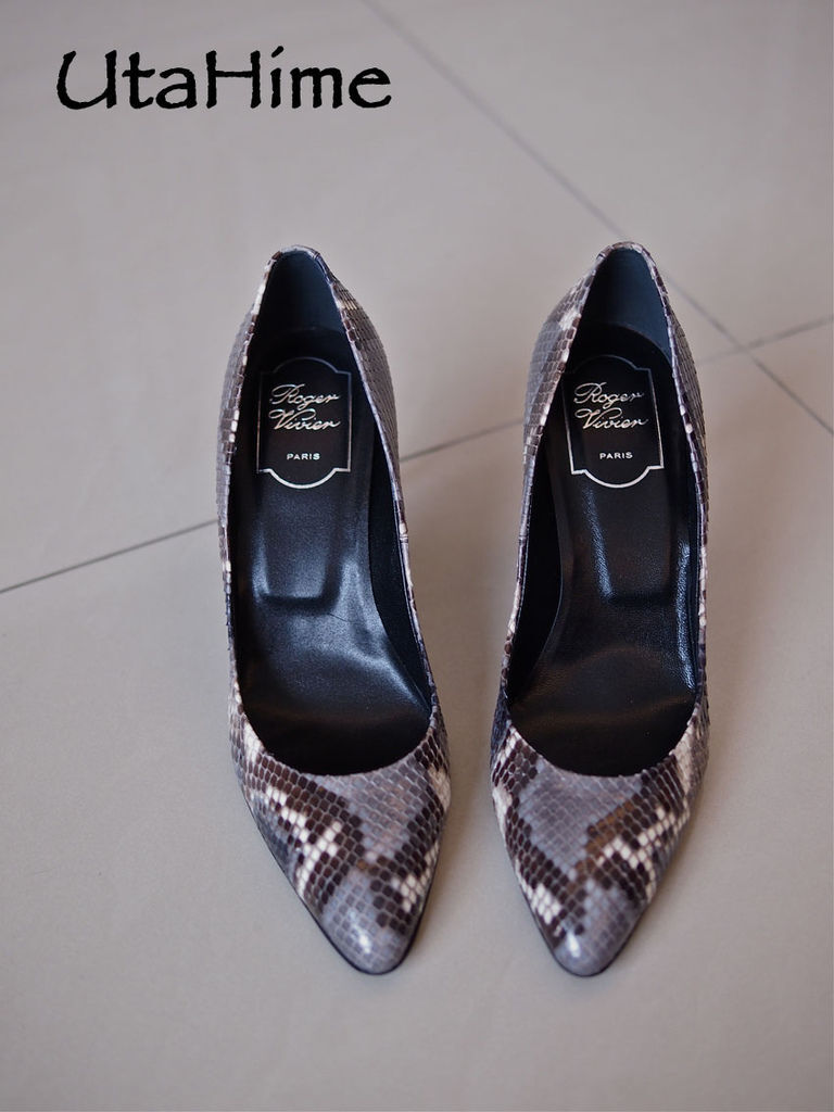 RVpython09.jpg RVpython09.jpg