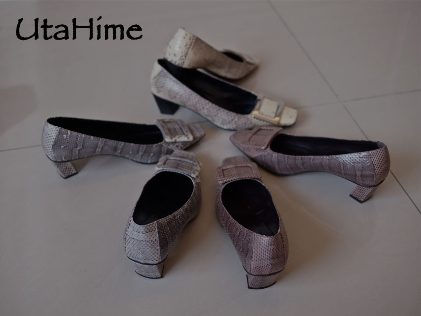 RVpython08.jpg RVpython08.jpg