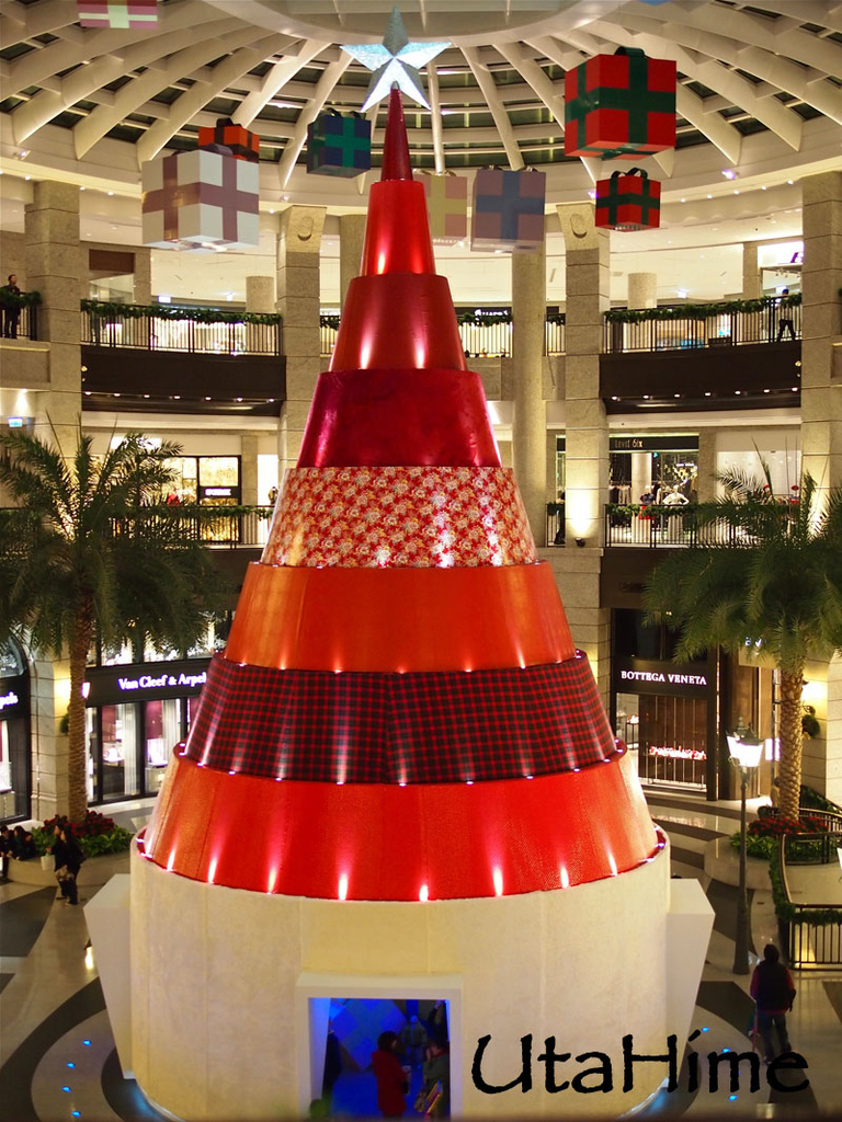 2011Christmas17.jpg 2011Christmas17.jpg