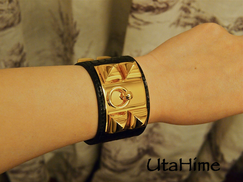 CDC_croc16.jpg CDC_croc16.jpg