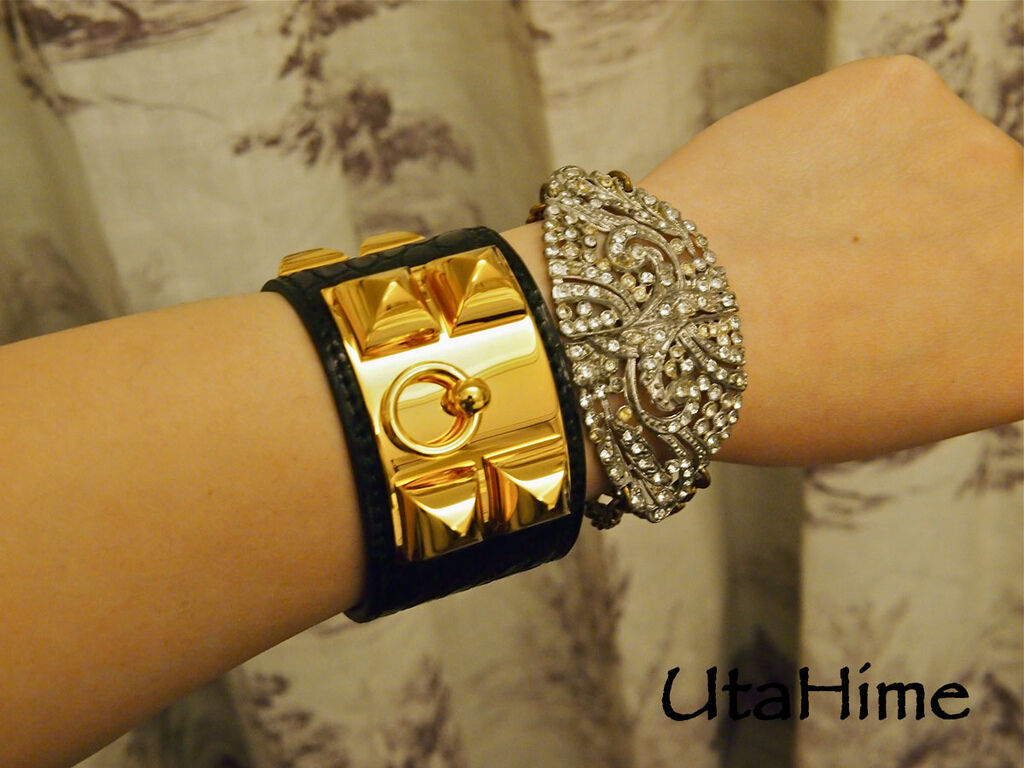 CDC_croc19.jpg CDC_croc19.jpg