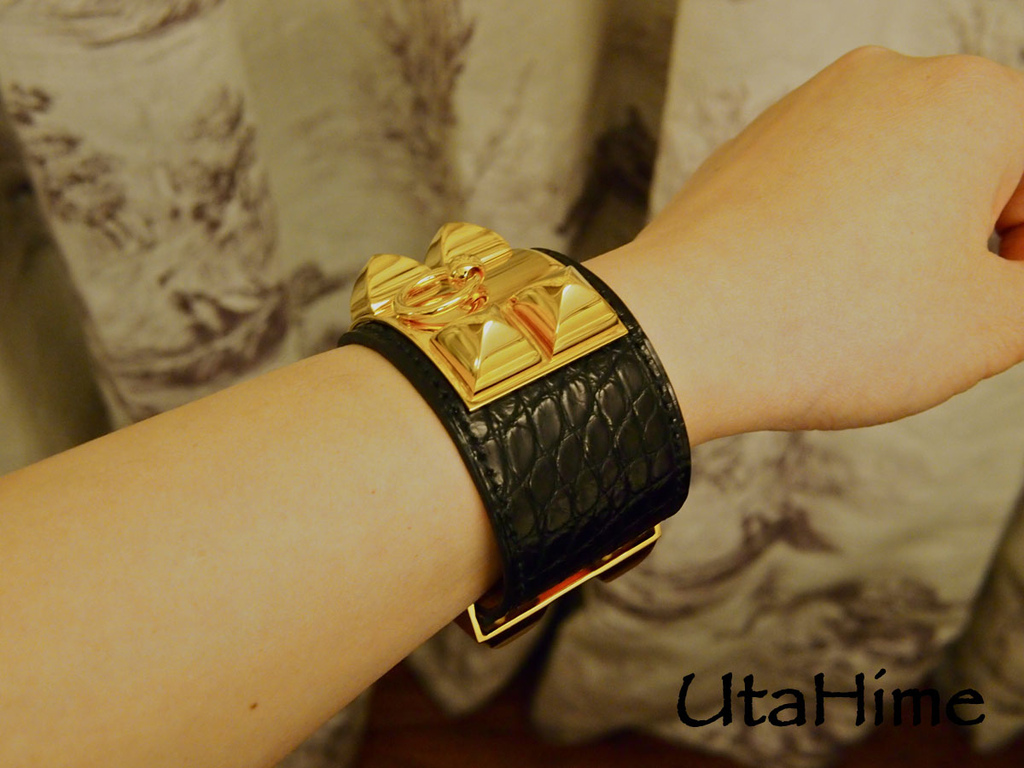 CDC_croc17.jpg CDC_croc17.jpg