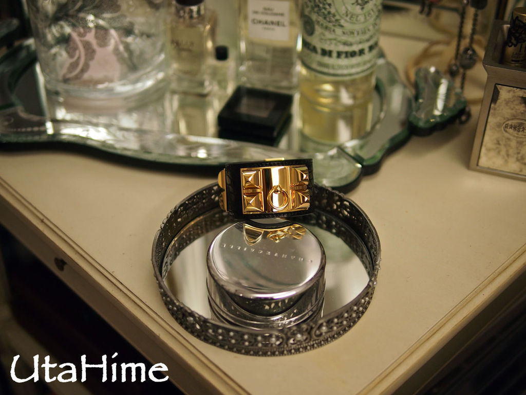 CDC_croc14.jpg CDC_croc14.jpg