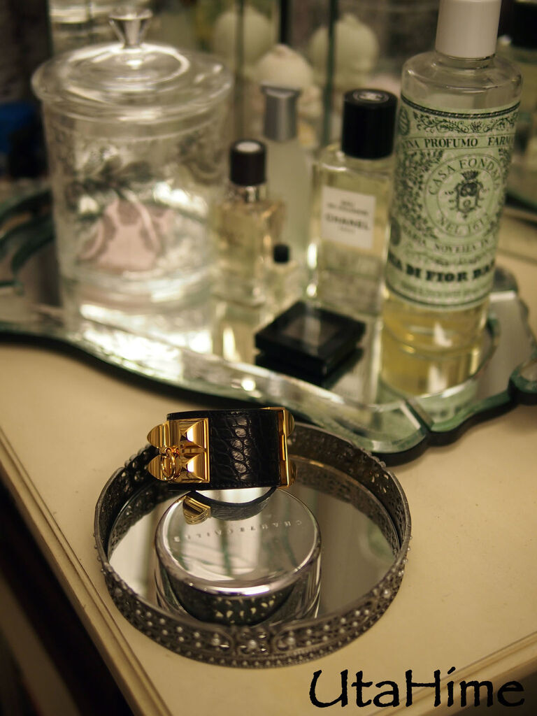 CDC_croc15.jpg CDC_croc15.jpg