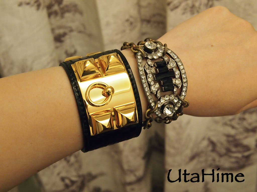 CDC_croc18.jpg CDC_croc18.jpg