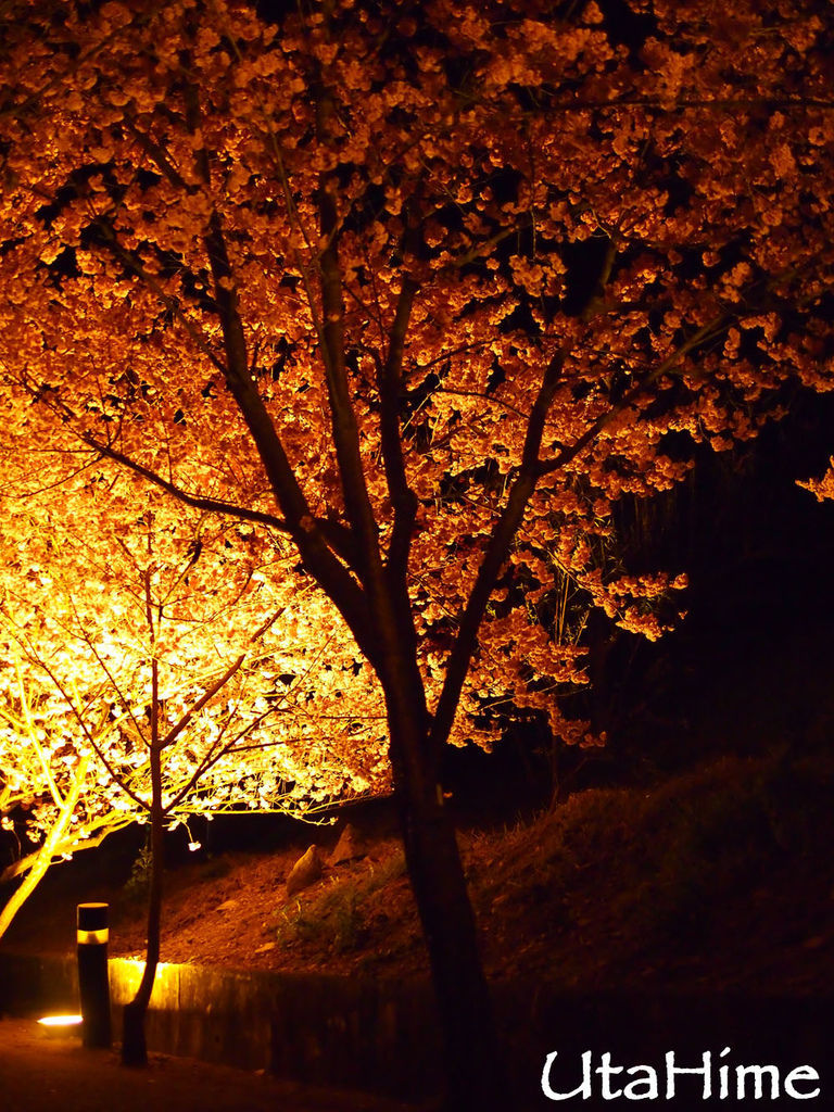 20120219-013 20120219-013