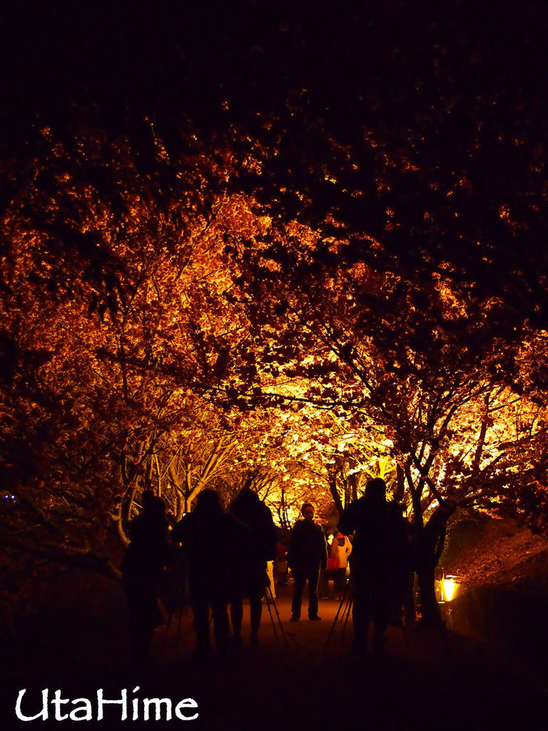 20120219-012 20120219-012