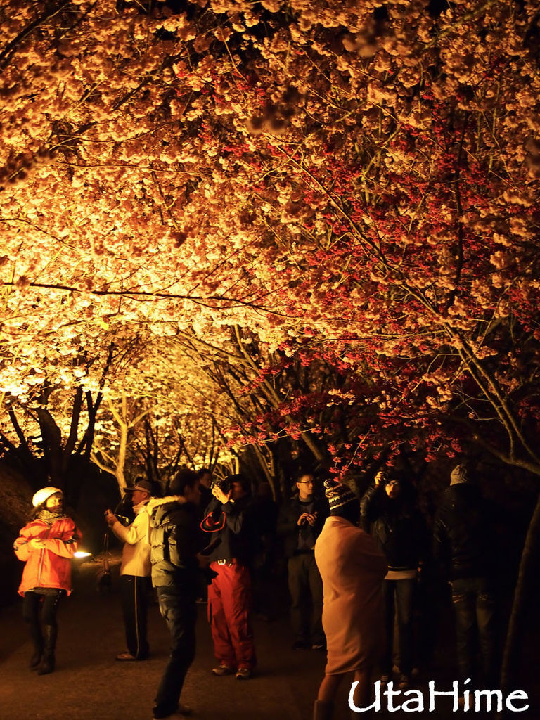 20120219-004 20120219-004