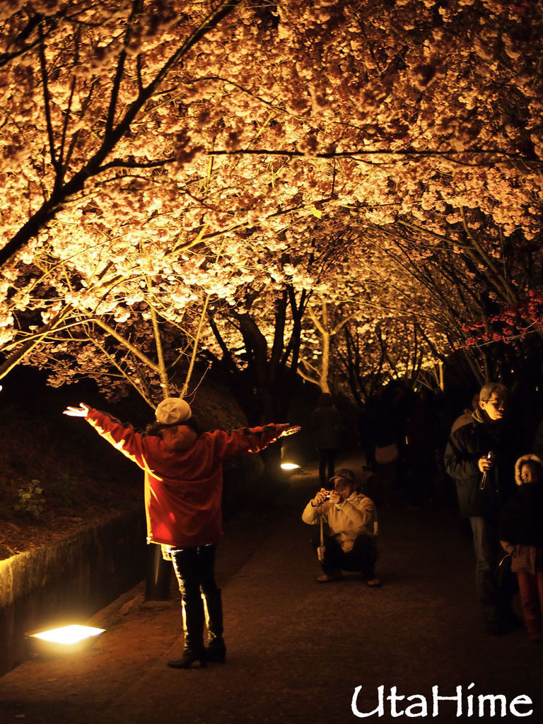 20120219-005 20120219-005