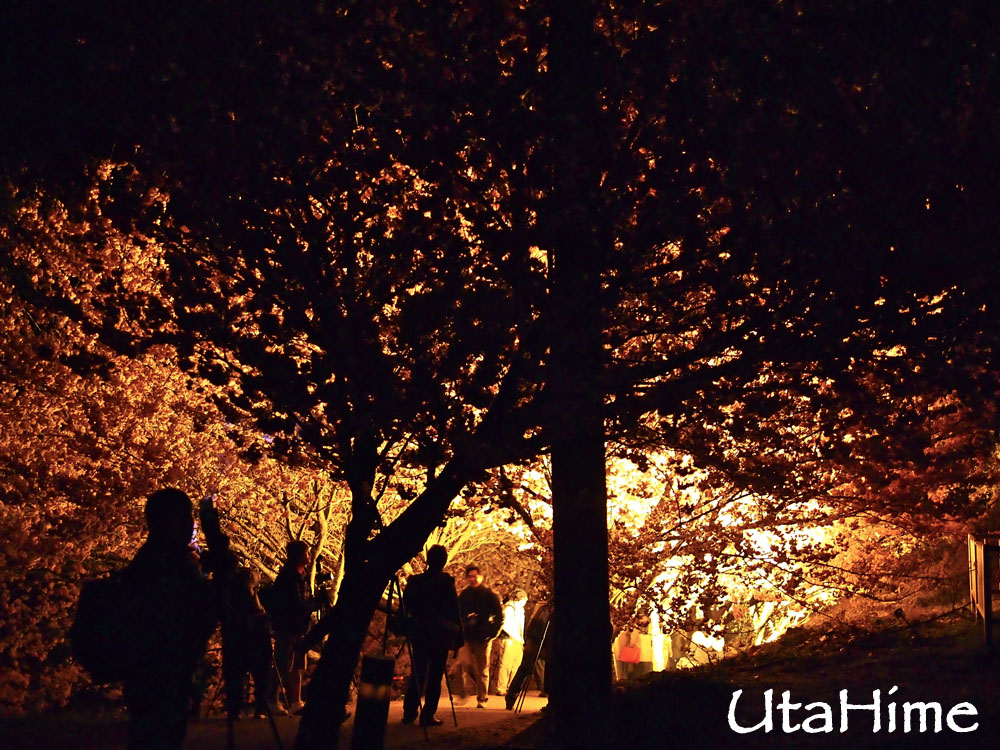 20120219-011 20120219-011