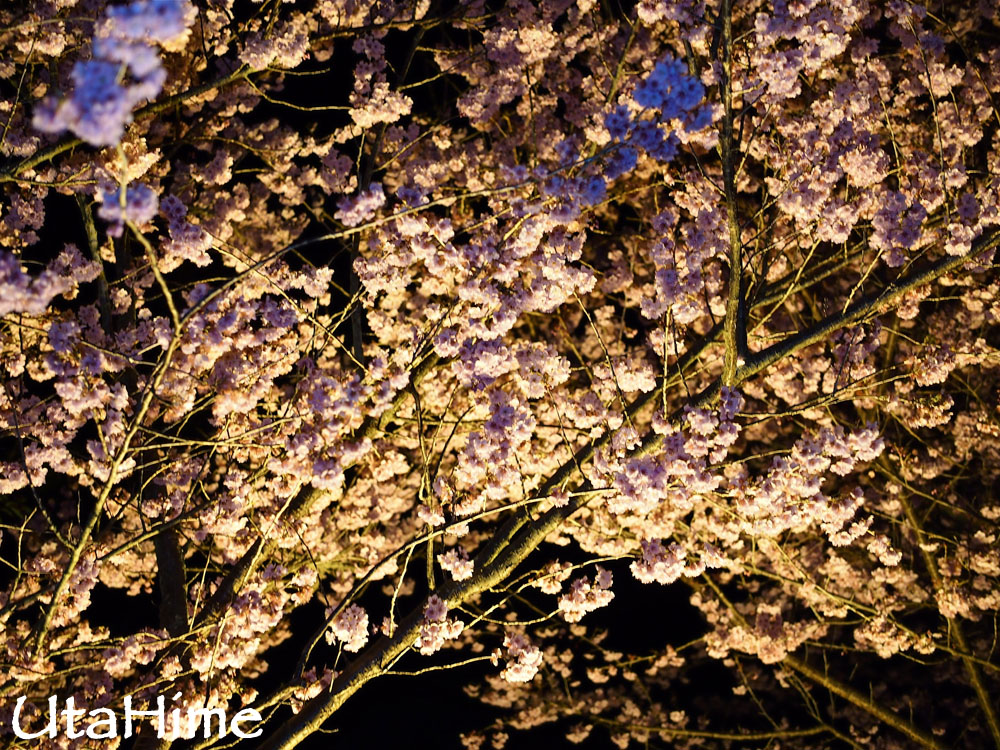 20120219-007 20120219-007