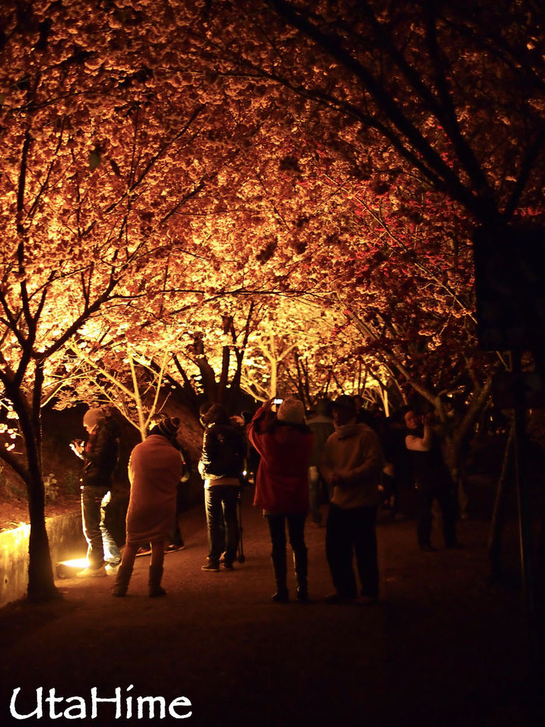 20120219-003 20120219-003