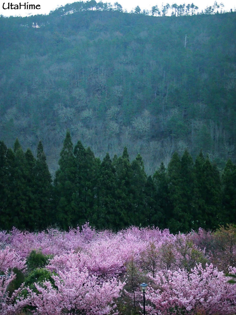 20120219-022 20120219-022