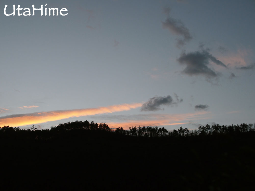 20120219-032 20120219-032