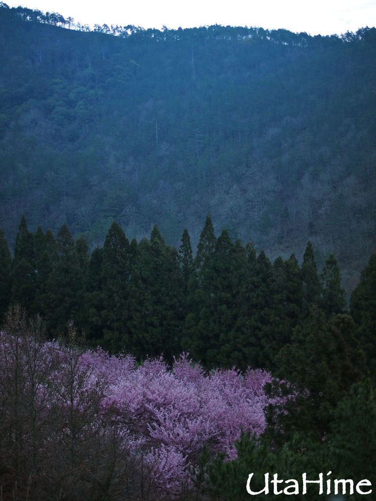 20120219-036 20120219-036