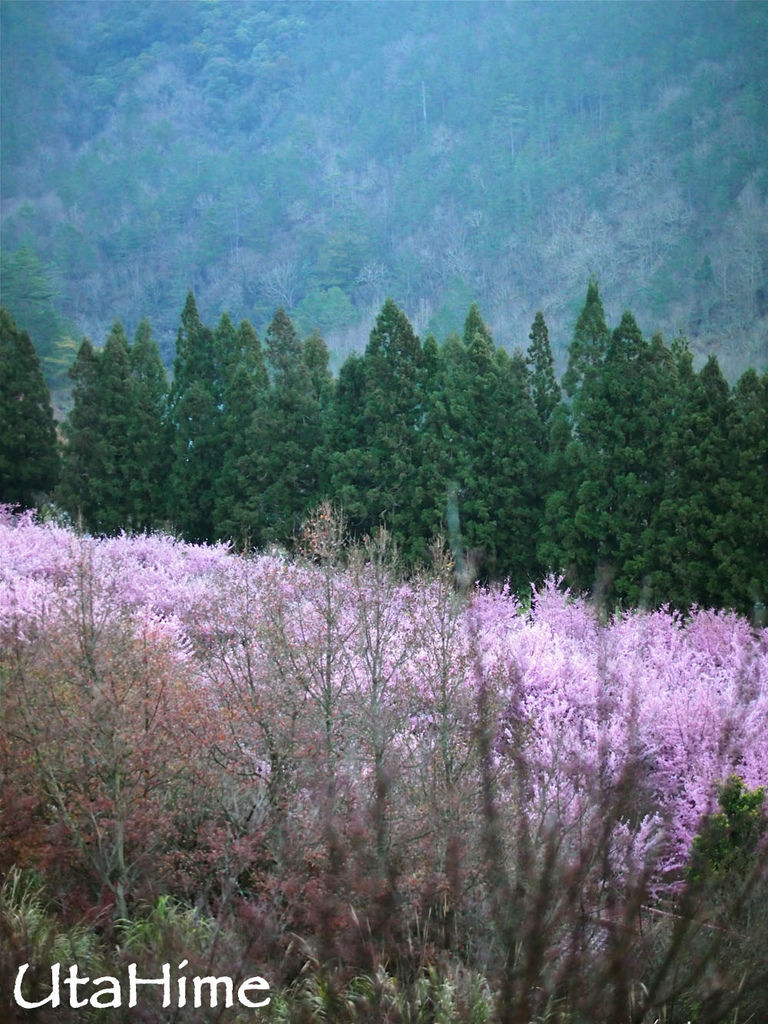 20120219-033 20120219-033