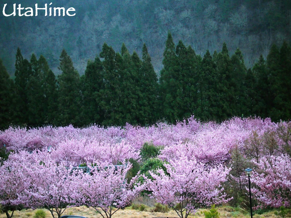 20120219-023 20120219-023