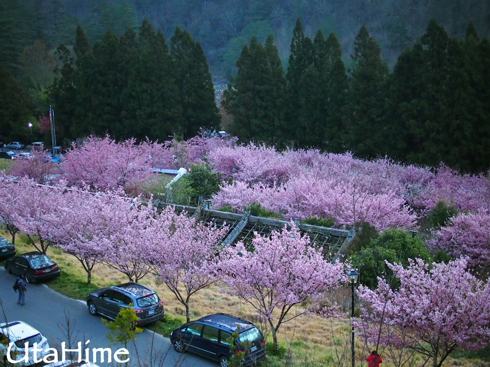 20120219-025 20120219-025