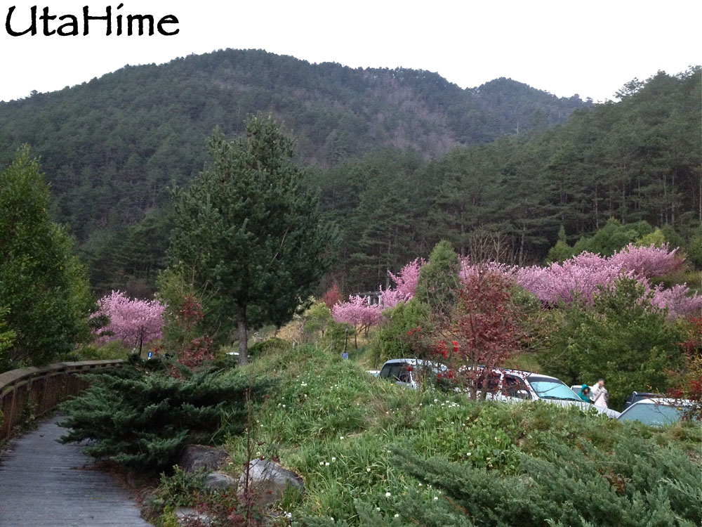 20120219-027 20120219-027