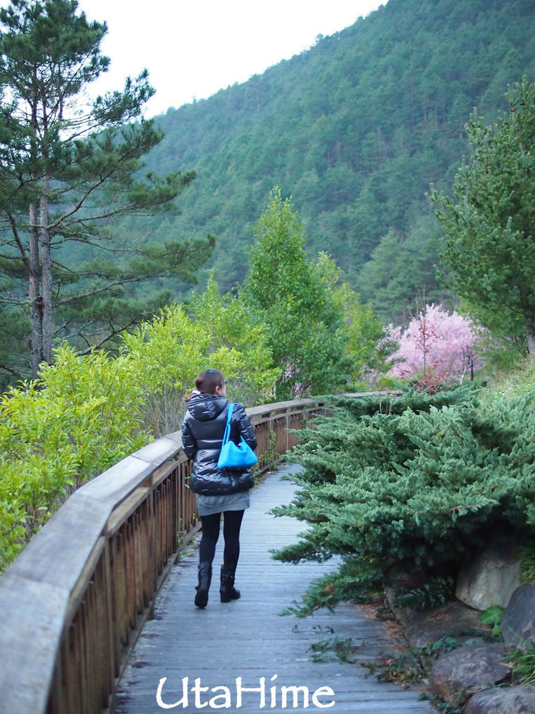 20120219-034 20120219-034