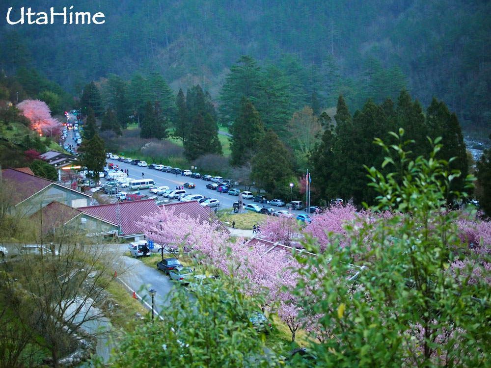 20120219-028 20120219-028