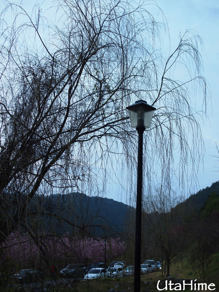 20120219-050 20120219-050