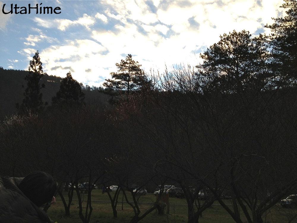 20120219-052 20120219-052