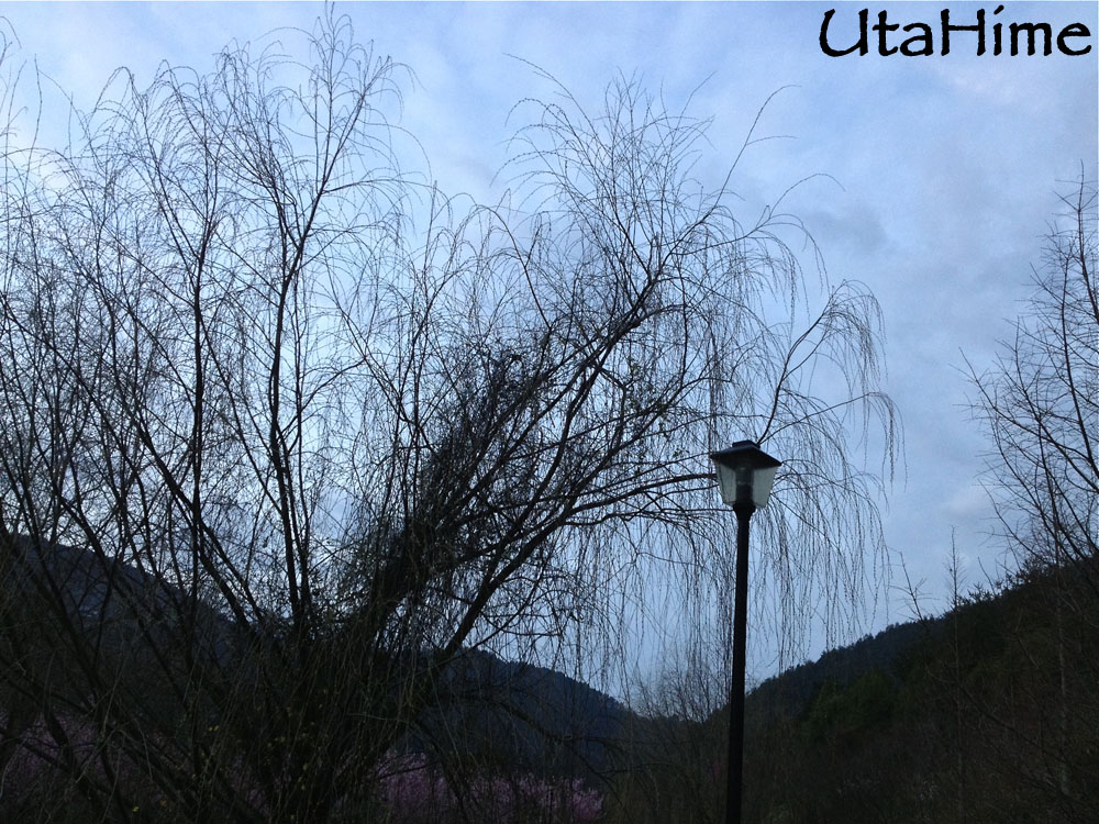 20120219-045 20120219-045