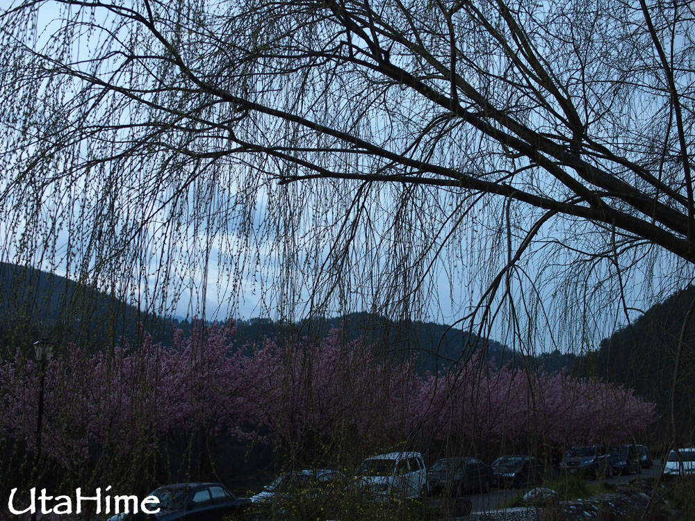 20120219-051 20120219-051