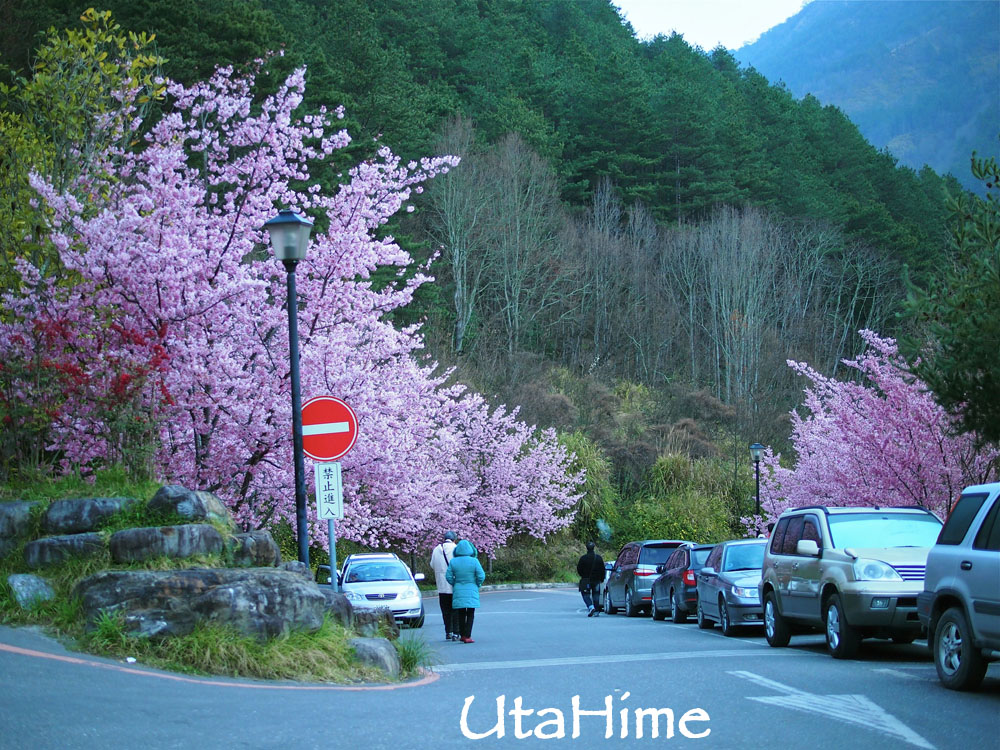 20120219-046 20120219-046