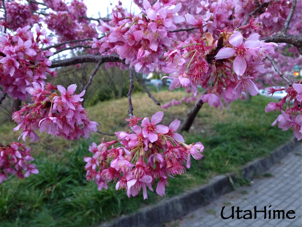 20120219-044 20120219-044