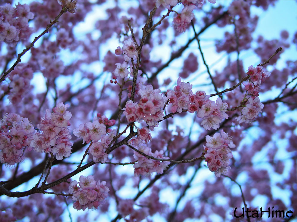 20120219-043 20120219-043