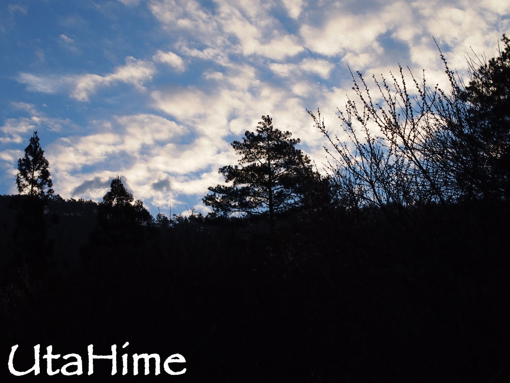 20120219-062 20120219-062