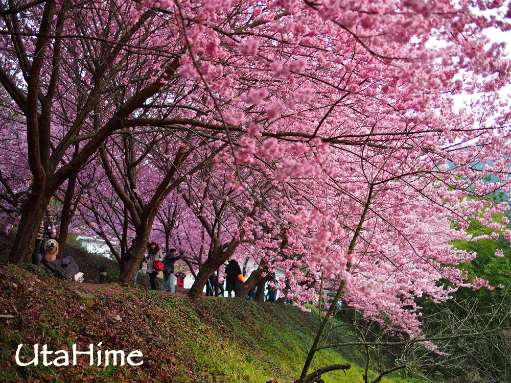 20120219-078 20120219-078