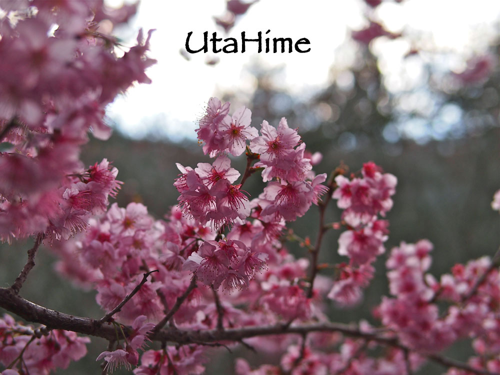 20120219-079 20120219-079