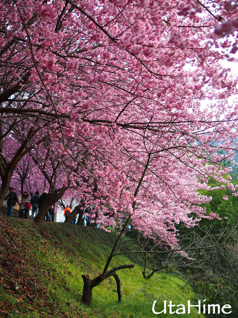 20120219-077 20120219-077