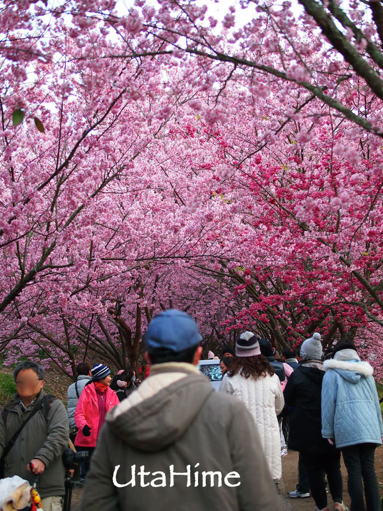 20120219-075 20120219-075