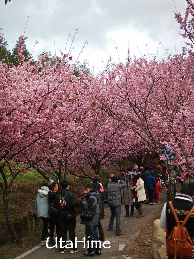 20120219-074 20120219-074