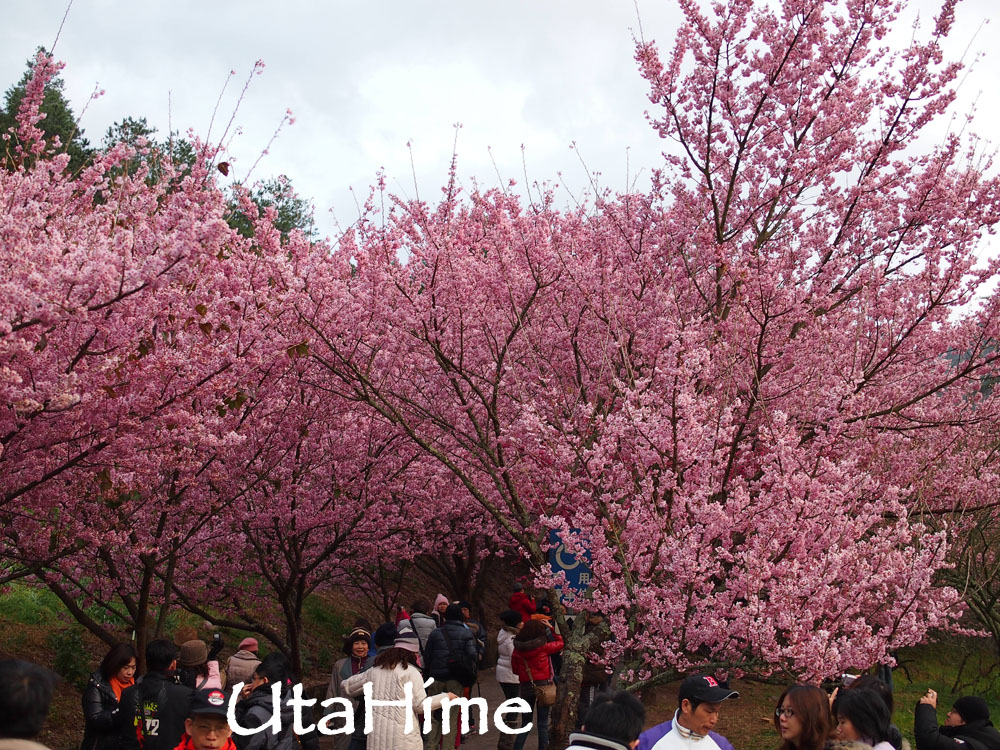 20120219-073 20120219-073