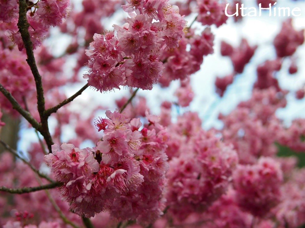 20120219-090 20120219-090