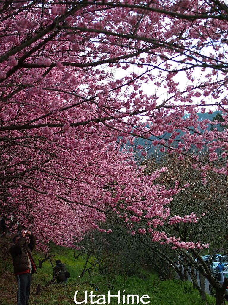 20120219-076 20120219-076