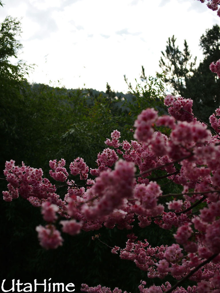 20120219-094 20120219-094