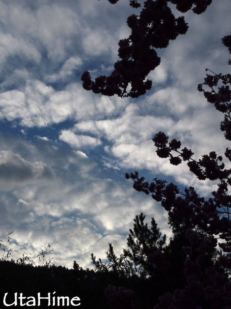 20120219-095 20120219-095